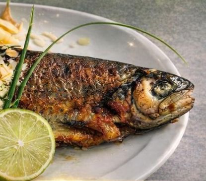 Vente de truites par le TTK